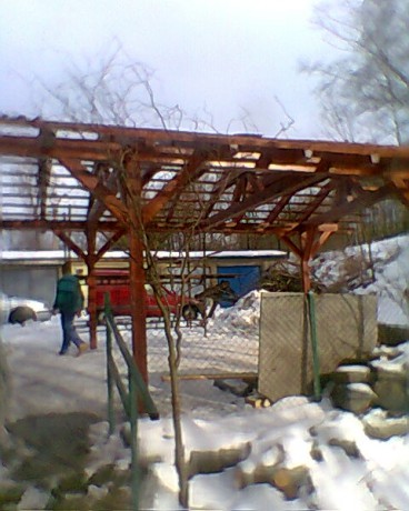 Foto.0012